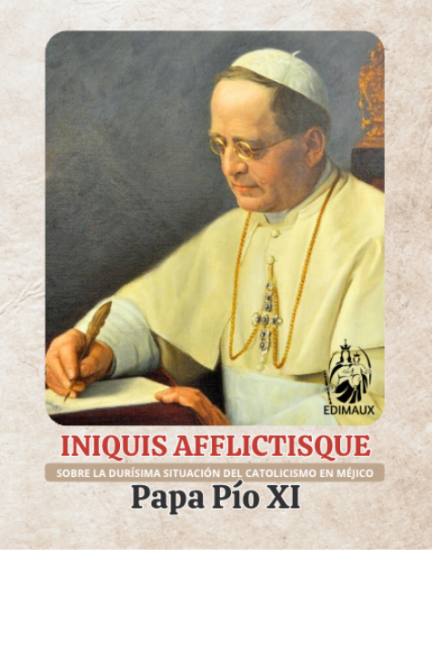 Iniquis afflictisque | Sobre la durísima situación del catolicismo en Méjico
