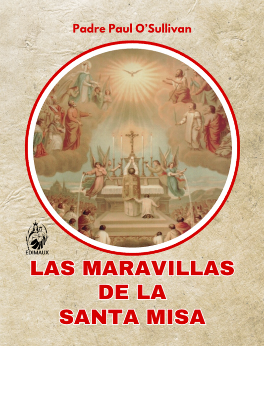 Las maravillas de la santa Misa